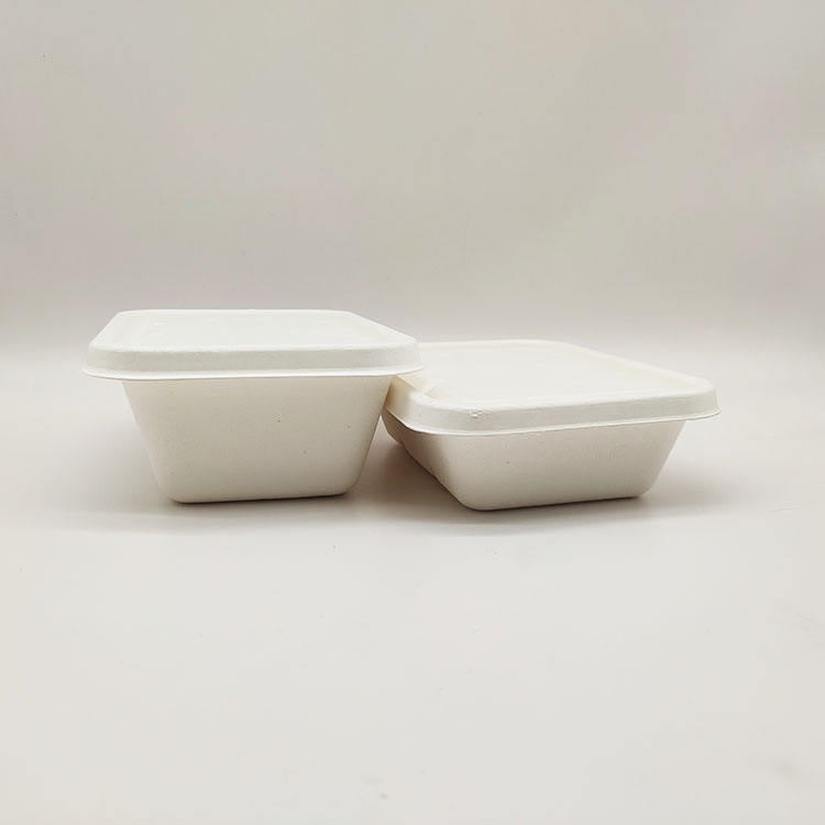 Disposable Lunch Box