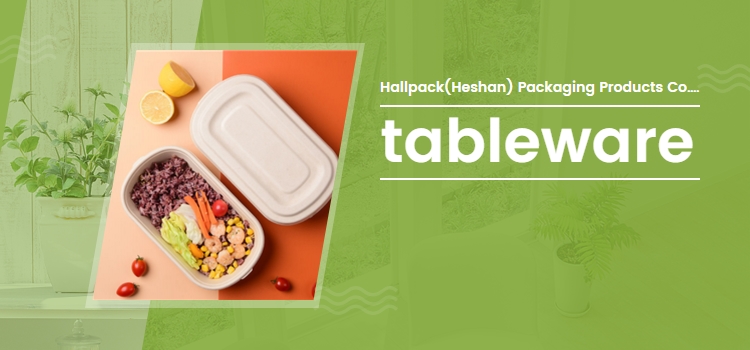 Sugarcane Pulp Clamshell