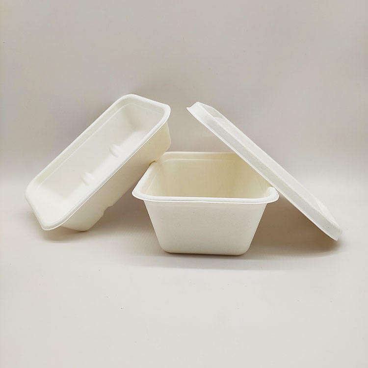 Sugarcane Pulp Clamshell