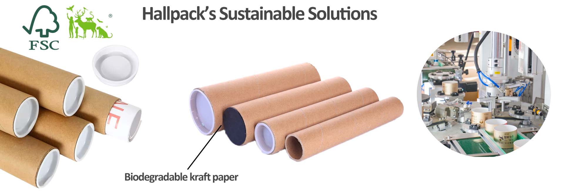 Cosmetic Paper Tube Packaging