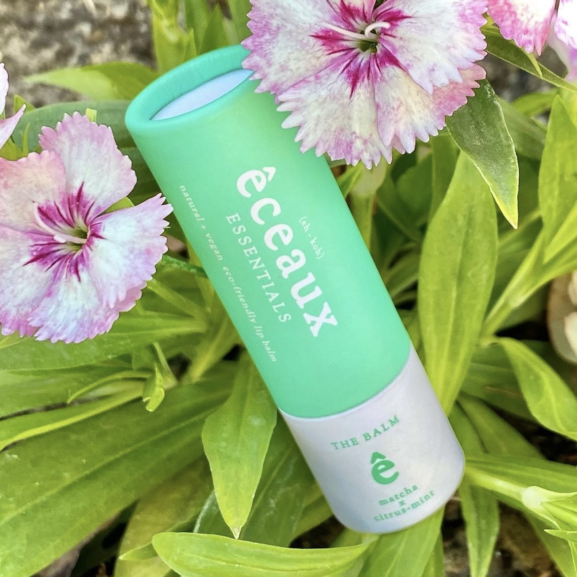 lipbalm paper tube factories