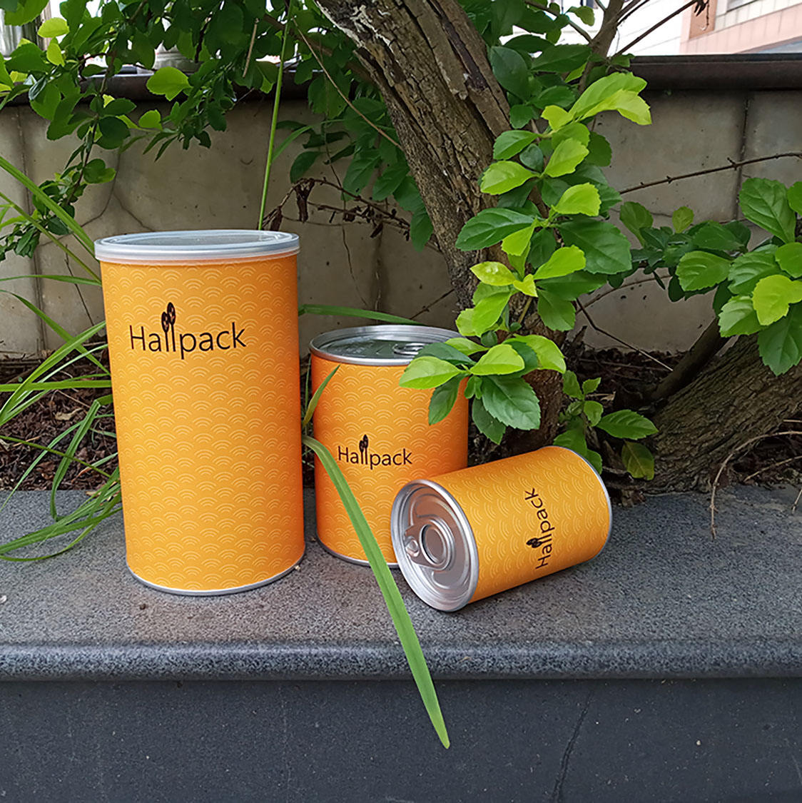 small food paper tube