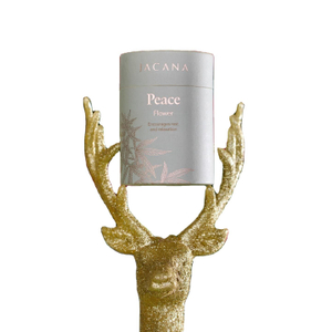 Special Design Paper Packaging Tube