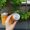 paper tube packaging food