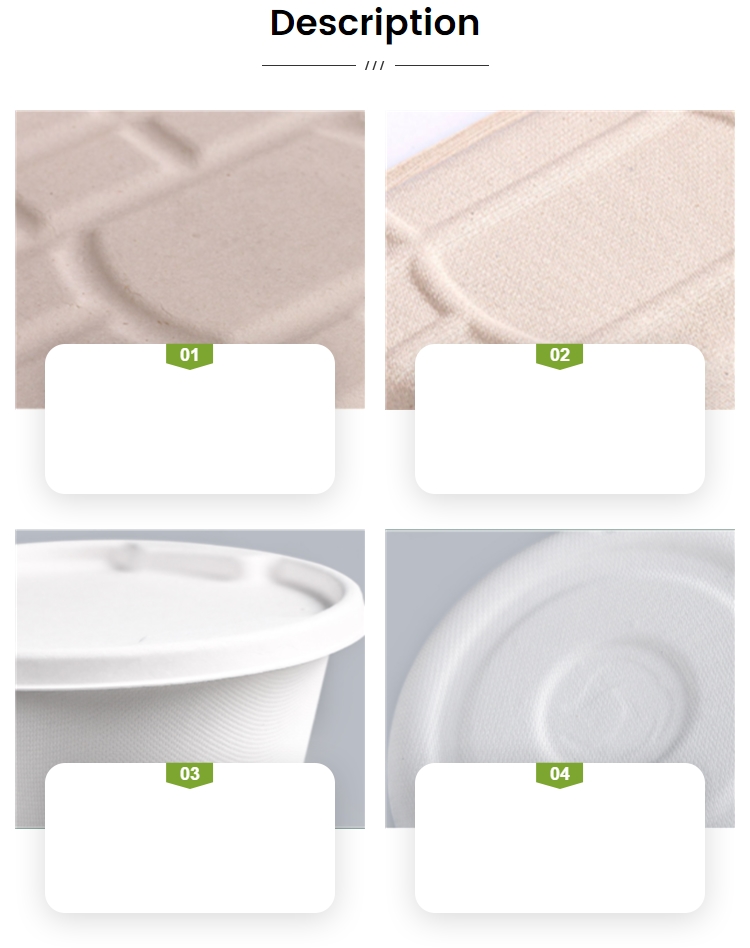 Disposable Paper Pulp Food Containers