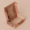 Use Soy Ink Printed Square Cartons Corrugated Paper Folding Airplane Shipping Box