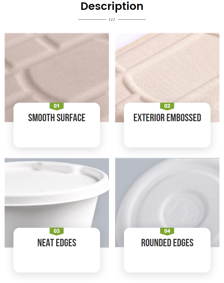 Disposable Lunch Box