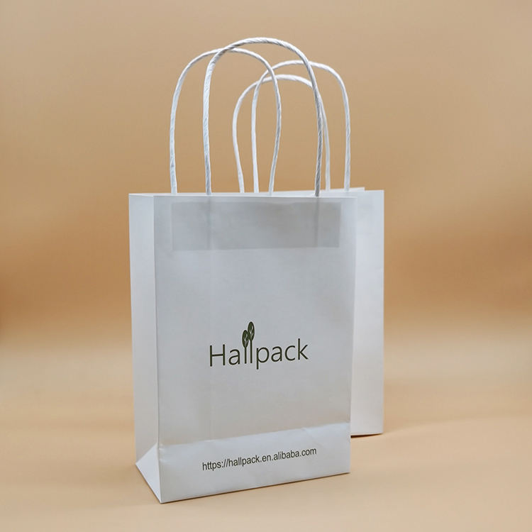 paper gift bag