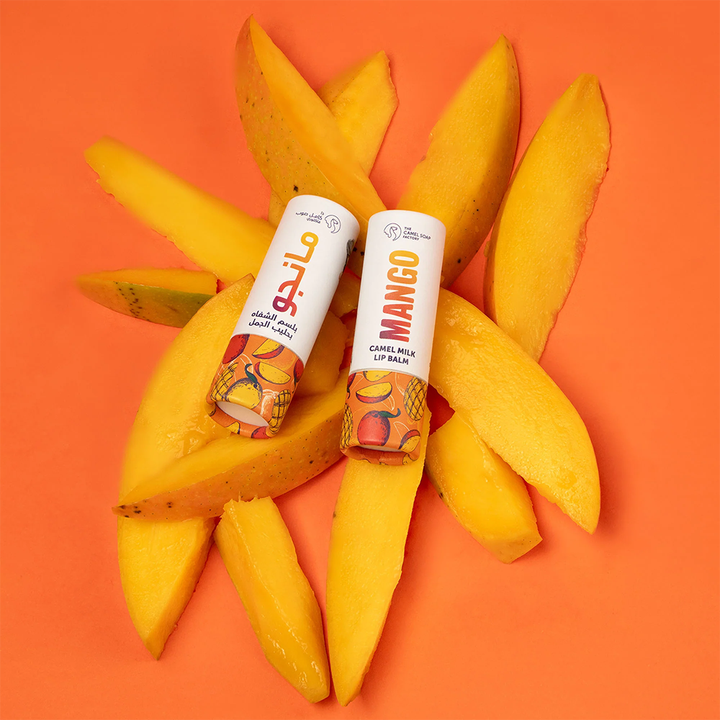 lipbalm paper tube factories